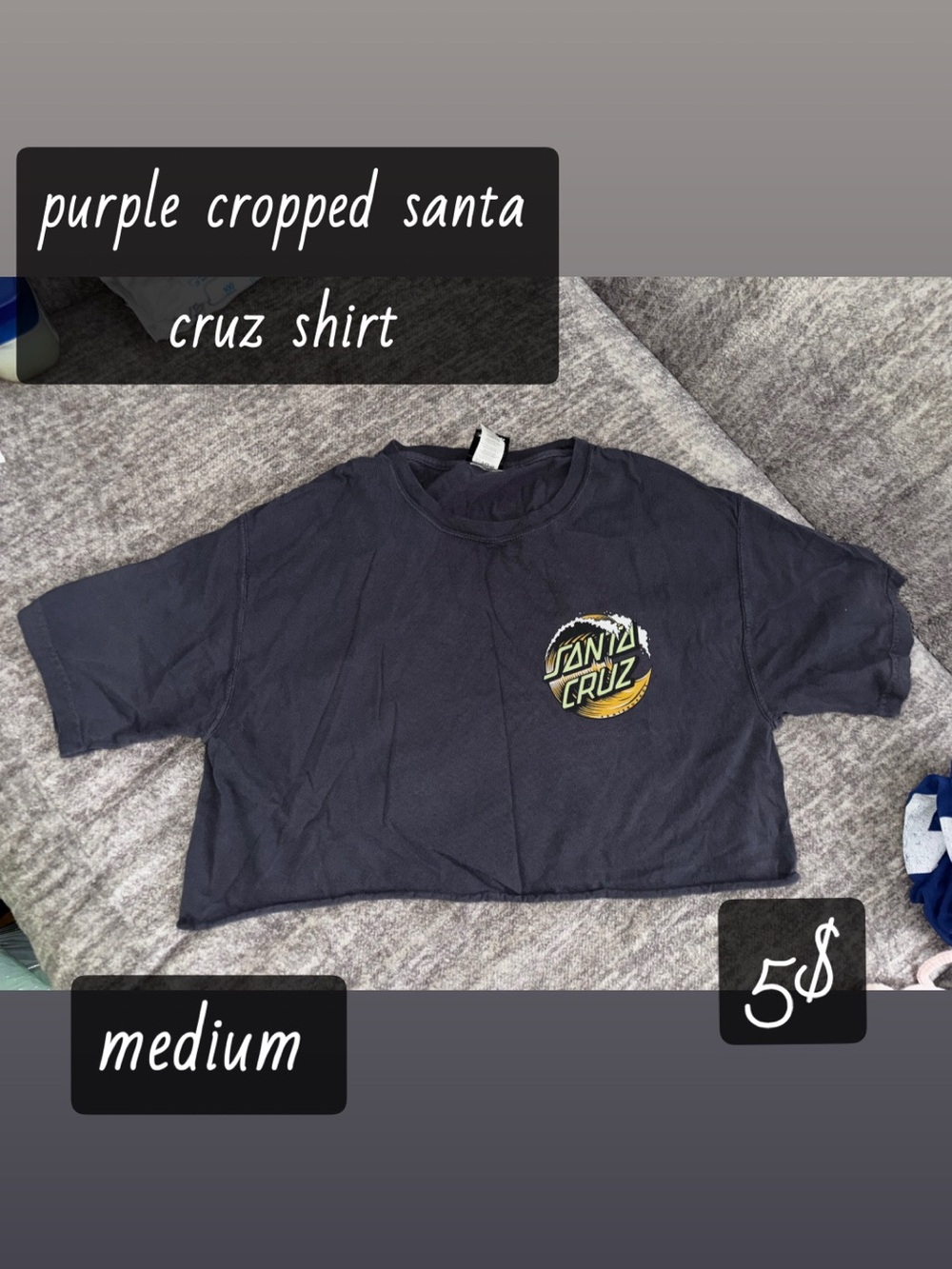Santa Cruz Skateboards Cropped Logo Tee - Dark Purple